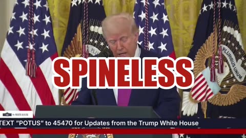 Fact Check: AI Video Has Trump Threatening 'Spineless Cowards' with Alligator Alcatraz --Satire Post