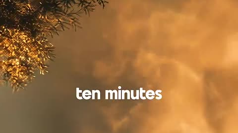 Why Your "One Day" Prayer Life Never Starts