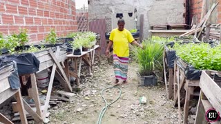 Las cosechas que le cambiaron la vida a las familias de Olaya