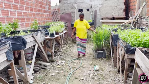Las cosechas que le cambiaron la vida a las familias de Olaya