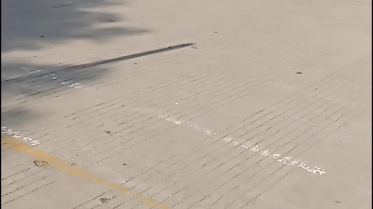 Body bend practice while skating | Skating | #rumble #rumble studio #kids #skater #Harshalidhankhola