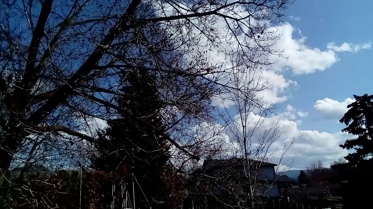 Afternoon Weather In Kelowna BC 🇨🇦 March 30 2025