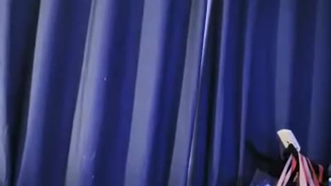 Our cat 🐈 wolf walking the line