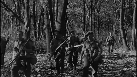 BATTLE INNOCULATION... - BATTLE INNOCULATION, JUNGLE WARFARE TRAINING CENTER, GUADALU - 111-adc-1948