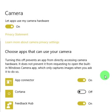 customize privacy setting of microphone and camera