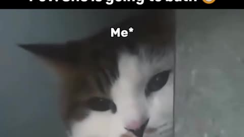 😂