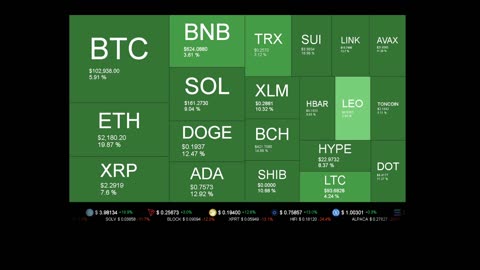 Live Coin Price Watch!