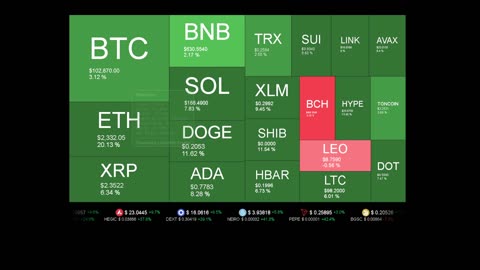 Live Coin Price Watch!