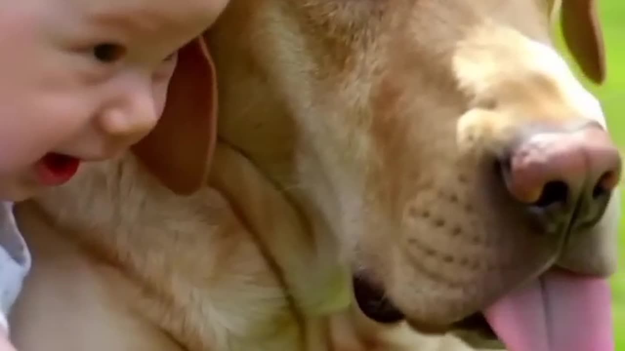 https://www.youtube.com/shorts/6wpmm0NnlT8