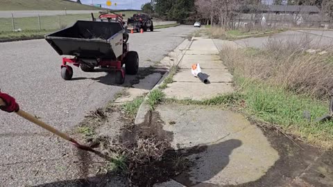 I Discovered A MOSS INFESTED Sidewalk And SCRAPED It Clean_part2