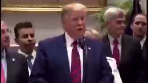 Who are the 17 percent