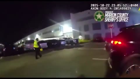 Florida deputy tases man wanted on felony warrants