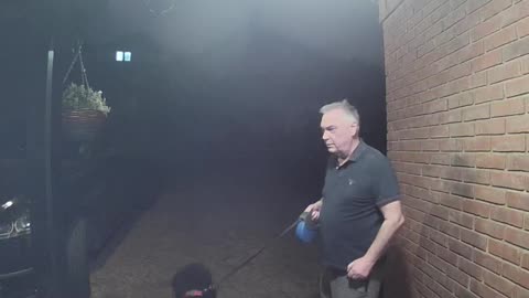 Meowing Doorbell Confuses Dad