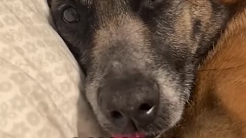 The Last Day on Duty — A Hero Retires 😭❤️