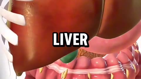 What happens if you eat oninon everyday for 30 days !