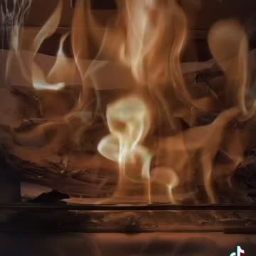 Tim Rifat TikTok Videos