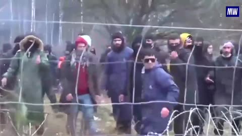 The footage showing the border between Poland and Belarus