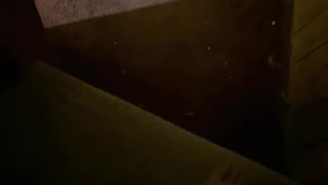 09/06/25 Gymnik VOD: "Gymnik is live!"