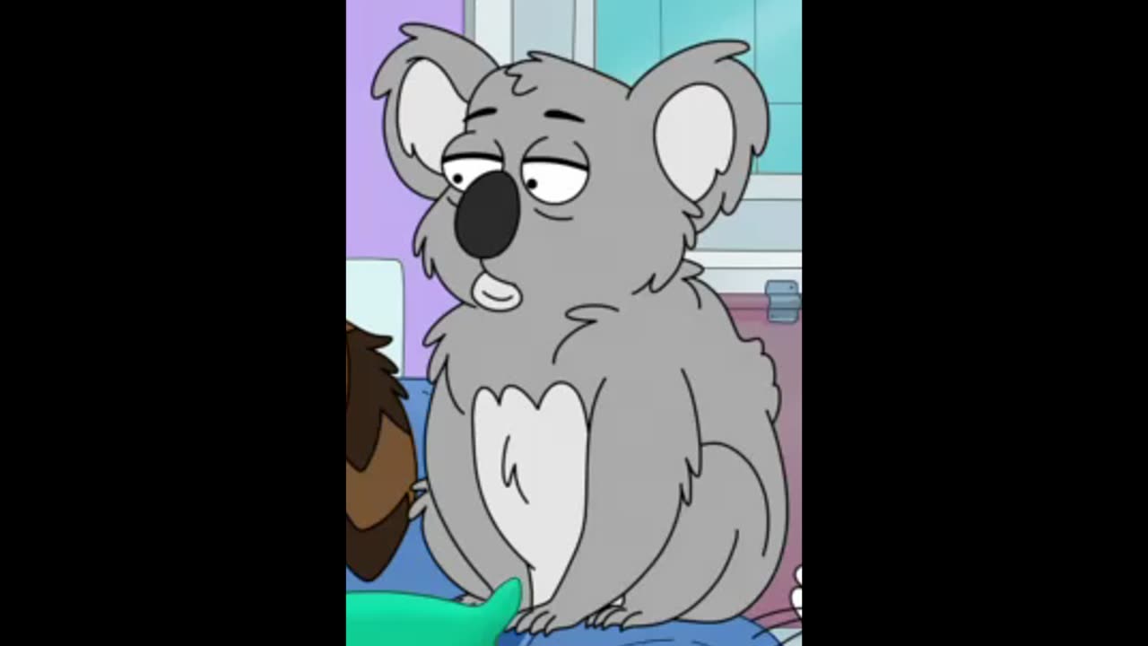 Every Appearance of Koala from Housebroken