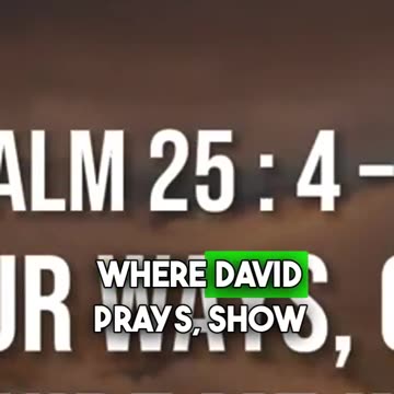 Seeking the Shepherd: Our Need for God’s Leading