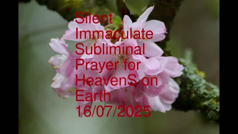 Silent Immaculate Subliminal Prayer for HeavenS on Earth 16-07-2025
