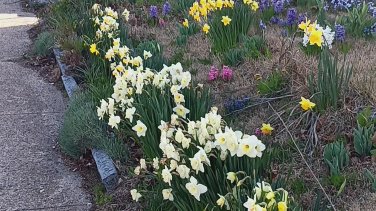Spring colors