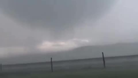 Reed Timmer caught COWS flying!