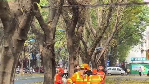 WHY DON'T YOU REALLY SEE HOMELESS PEOPLEON THESTREETS IN CHINA?
