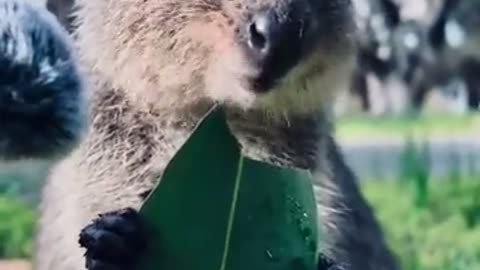 🤯 OMG! Folks, This Is Why You Chew Your Food! | FunFM