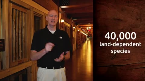 Here’s How Noah Fit All the Animals on the Ark