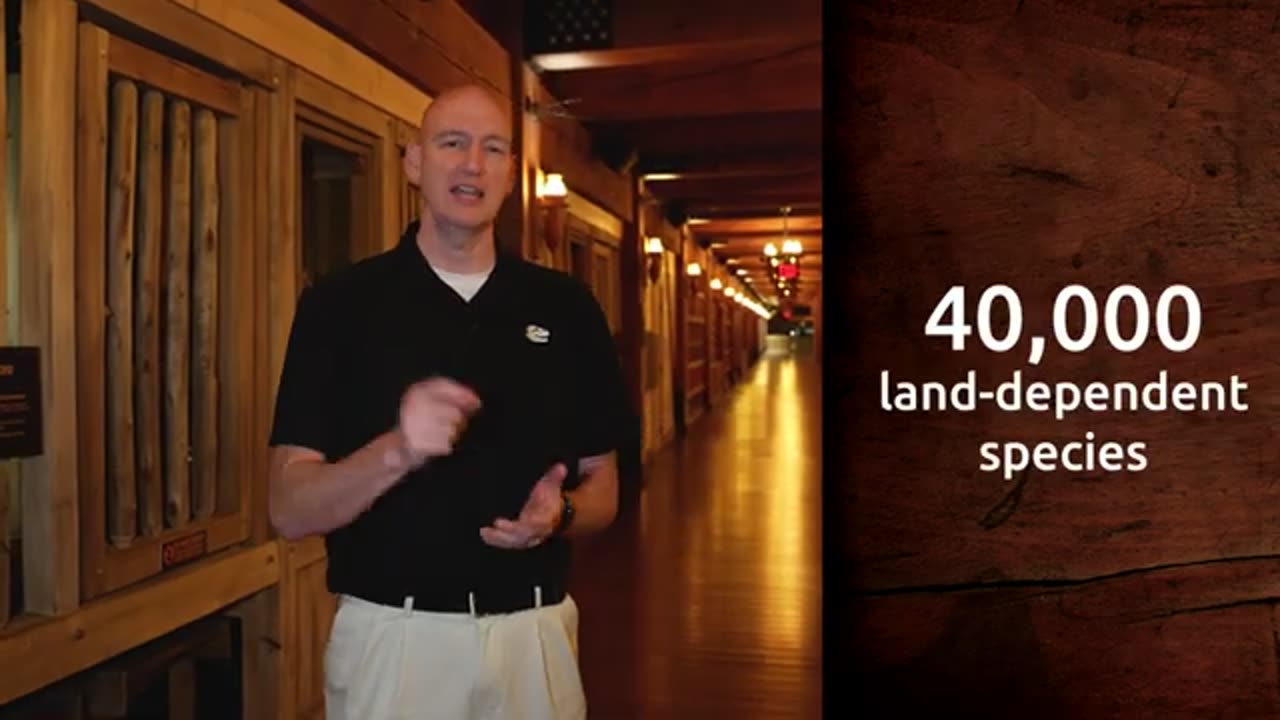 Here’s How Noah Fit All the Animals on the Ark