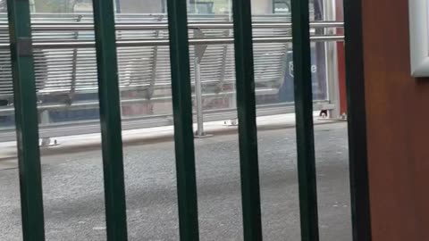 Loud prolonged noisy environment