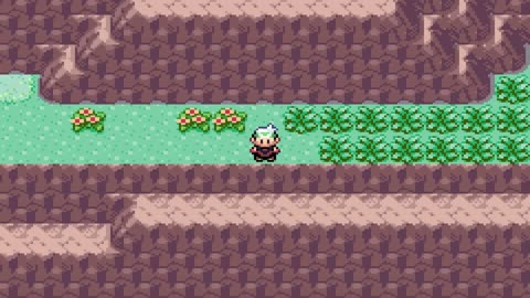 Pokemon Emerald: Let's Play!