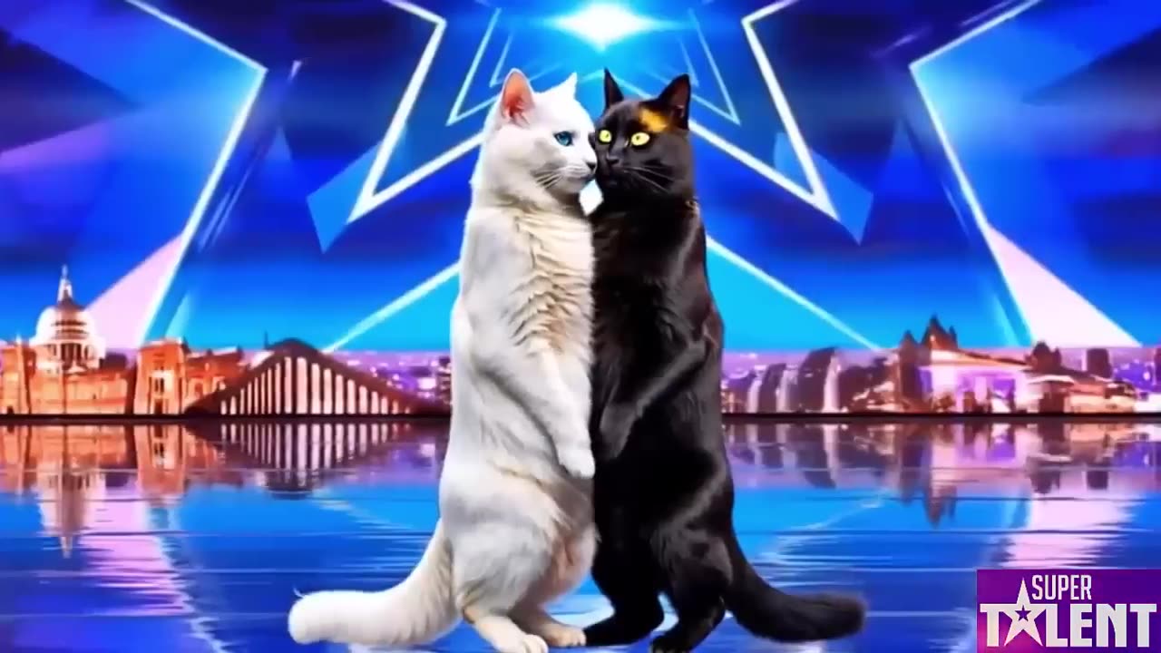 Magic Show