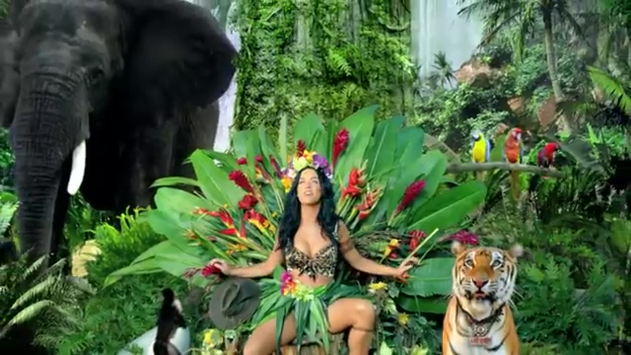 Katy Perry - Roar