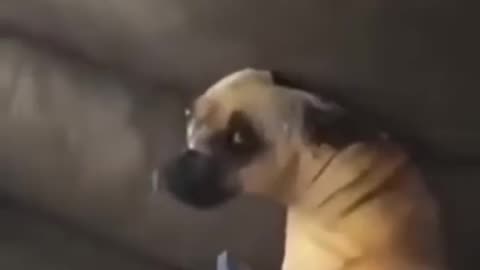 🤯😳 Wait, What Just Happened?! Unbelievable Moment! | FunFM
