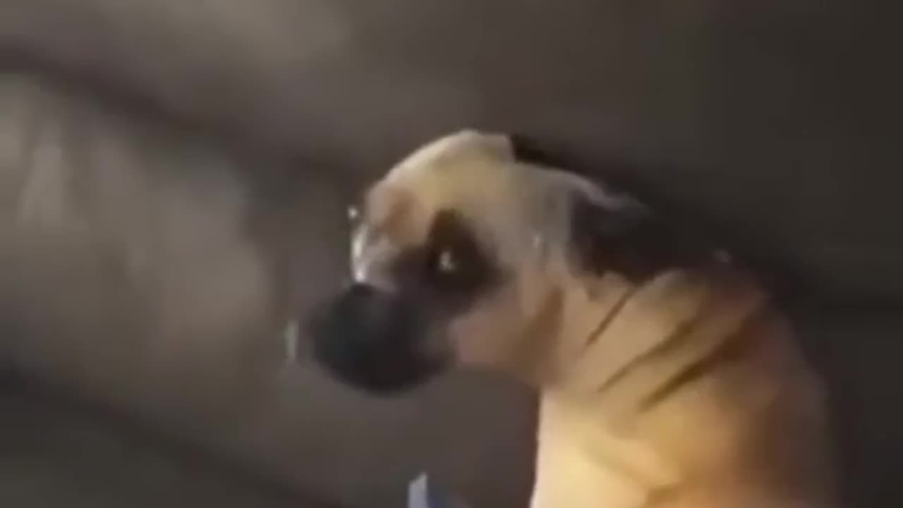🤯😳 Wait, What Just Happened?! Unbelievable Moment! | FunFM