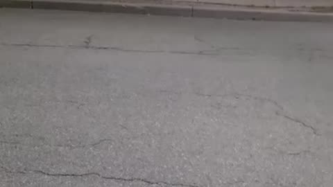 Canada Abandons Its Own: Robert Haynes Speaks the Hard Truth