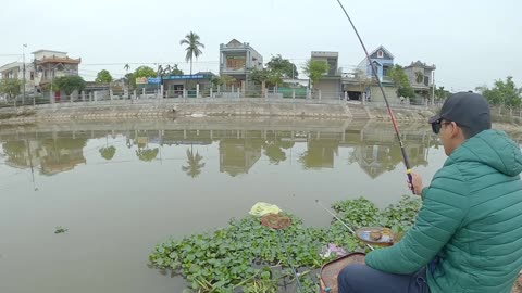 Perch Fishing Tactics for Shallow Lake Waters