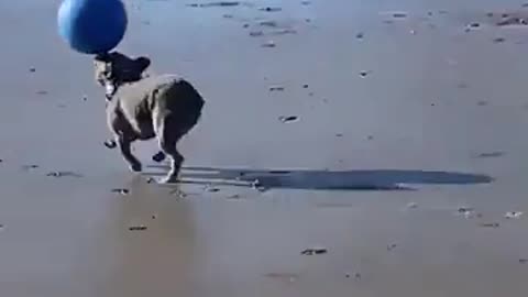 Soccer type