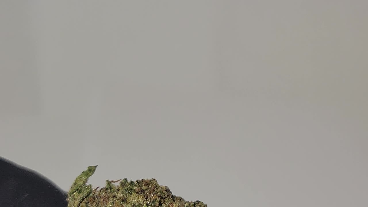 Pink Runtz THCA Flower Ounces