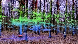 'Robot dog' helps Oxford scientists monitor forest health