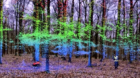 'Robot dog' helps Oxford scientists monitor forest health