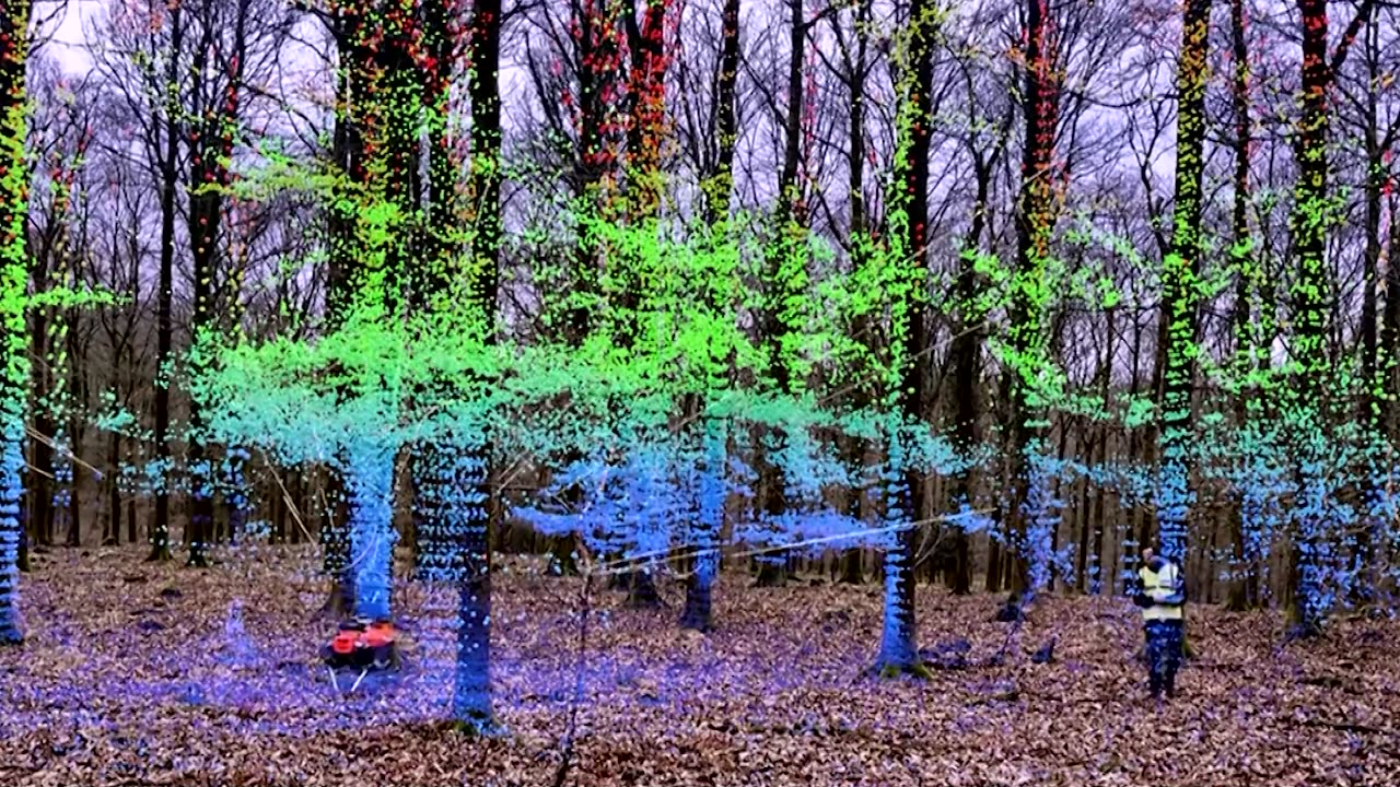 'Robot dog' helps Oxford scientists monitor forest health