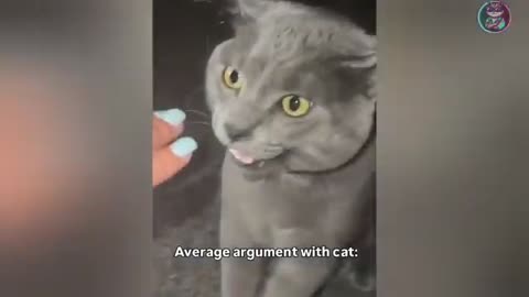 Funny video of animals