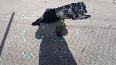 You need god not coffee