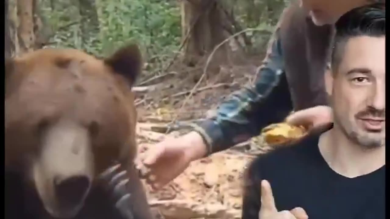 Rejected By Animals