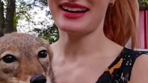 DERANGED HORRORS - VOL. 1,085: THE DEATH OF MIKAYLA RAINES