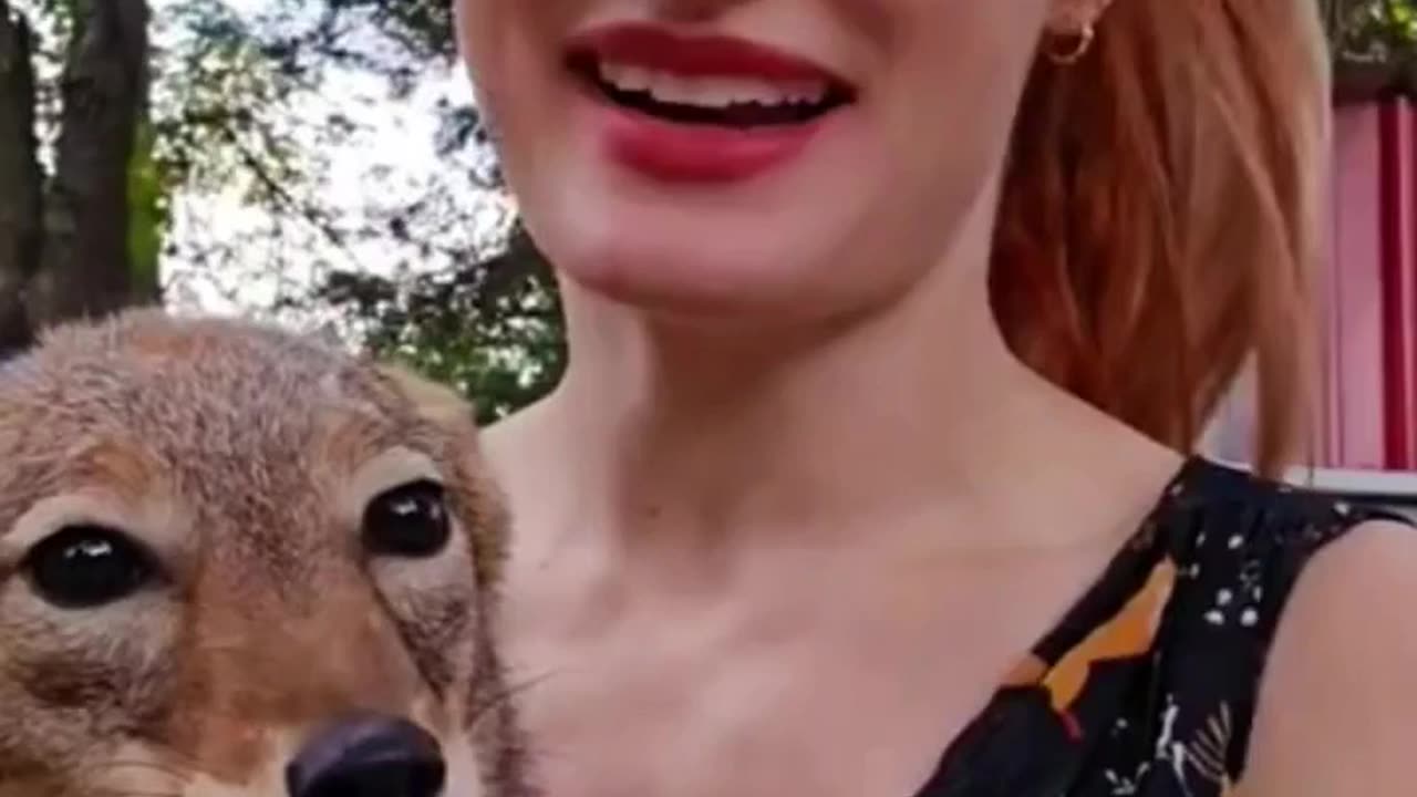 DERANGED HORRORS - VOL. 1,085: THE DEATH OF MIKAYLA RAINES