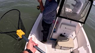 Fishing For Big Red Drum, Sea Trout, And Sheepshead. With Salty Seas Charters. PT. 2